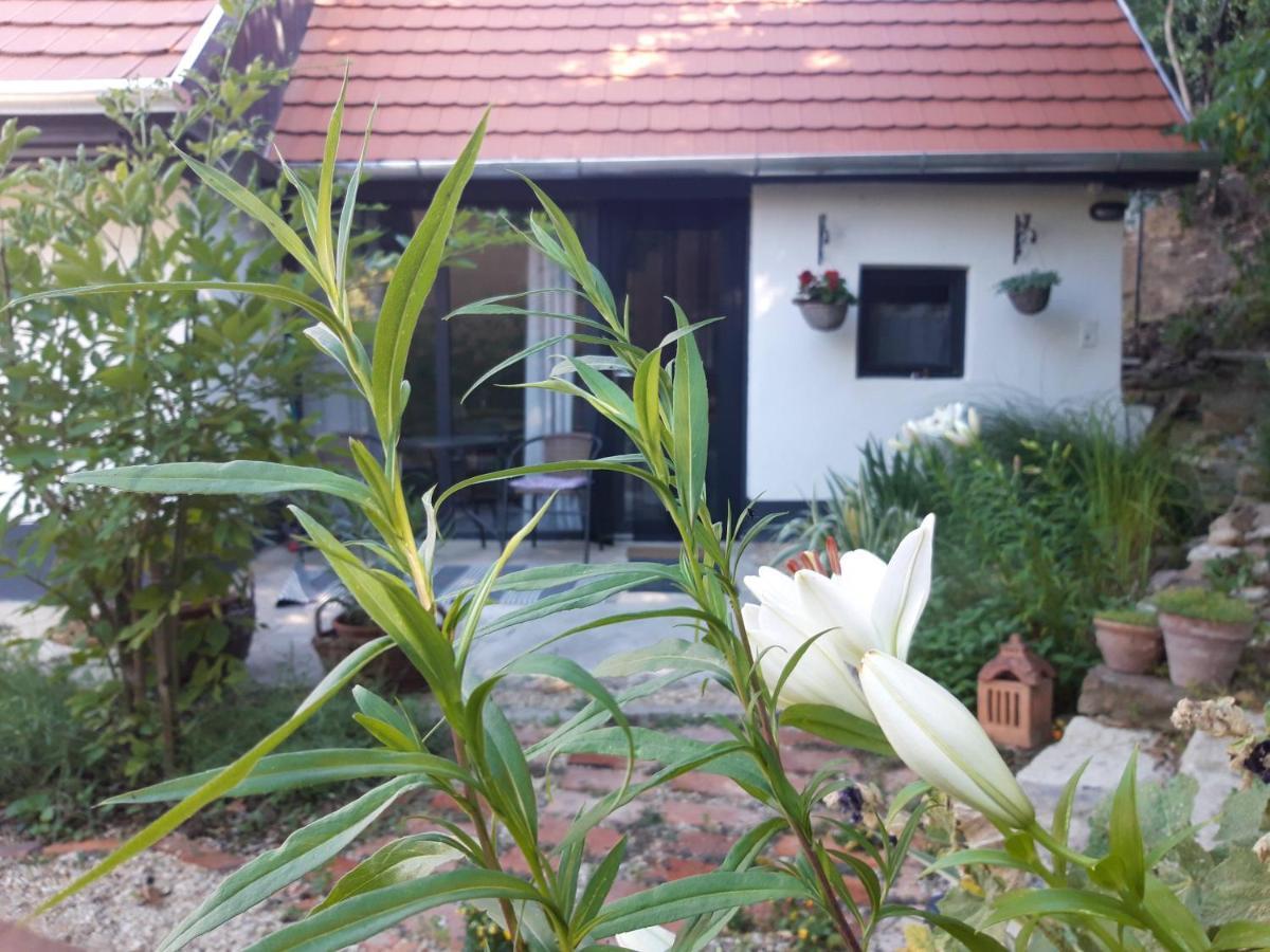 Apartmán Kismadar Vendeghaz Noszvaj Exteriér fotografie